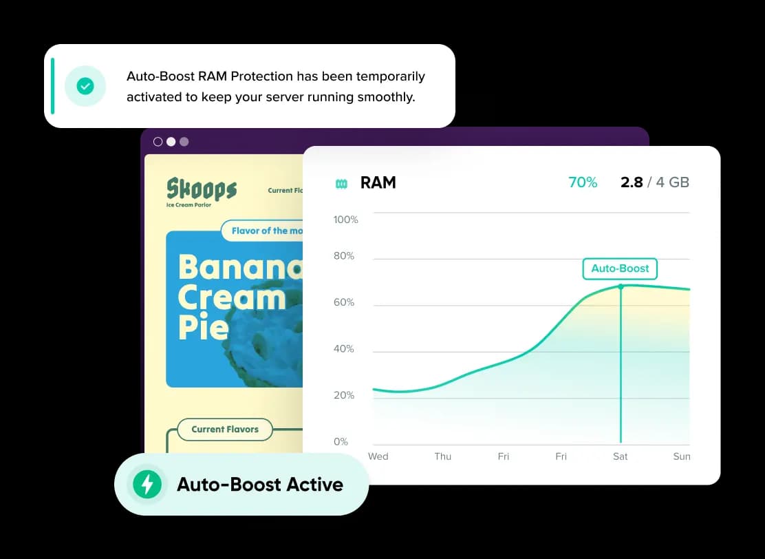Business or Premier Managed VPS Hosting plan options